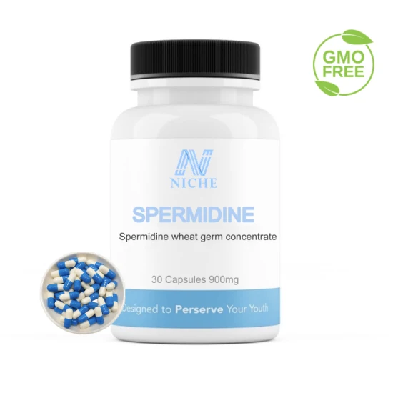 Rich Spermidine Wheat Germ Nutrition, добавка для долголетия, склад в США, CAS: 334-50-9